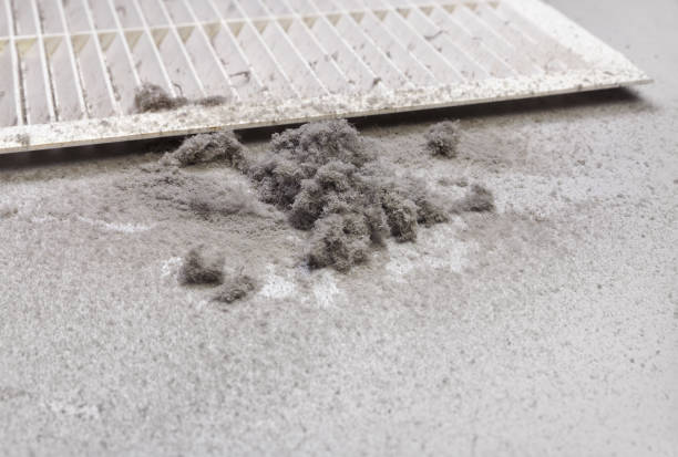Best Air Duct Cleaning Near Me  in Lake Magdalene, FL