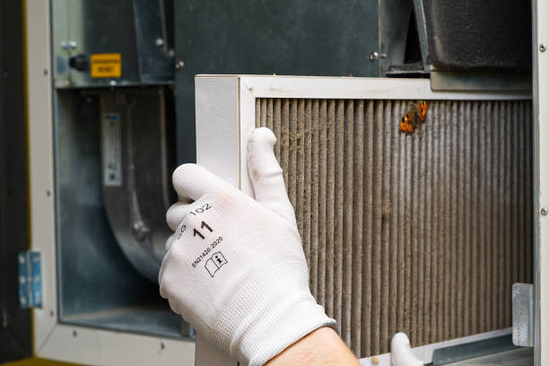 Best Local Air Duct Cleaning Services  in Lake Magdalene, FL