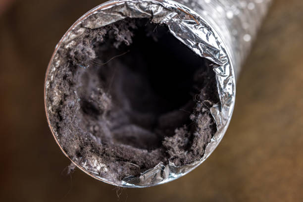 Best Best Air Duct Cleaning Near Me  in Lake Magdalene, FL
