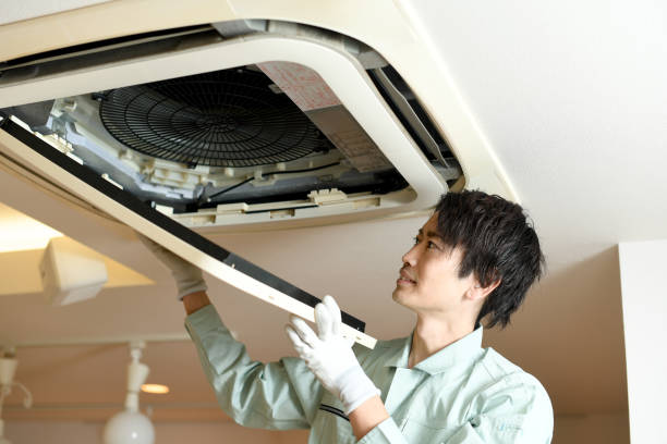 Best Air Duct Sanitizing Services  in Lake Magdalene, FL