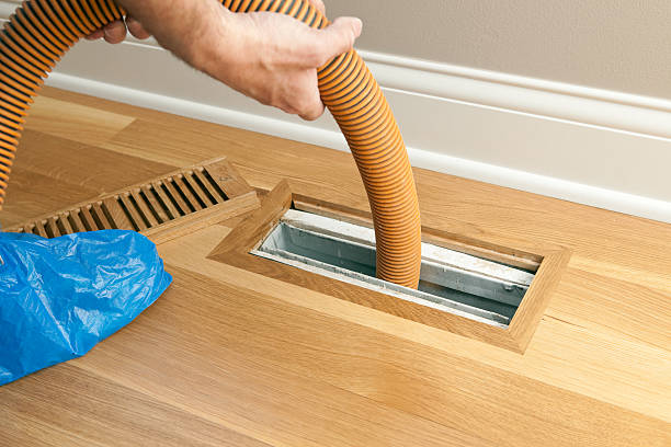 Best Home Air Vent Cleaning  in Lake Magdalene, FL