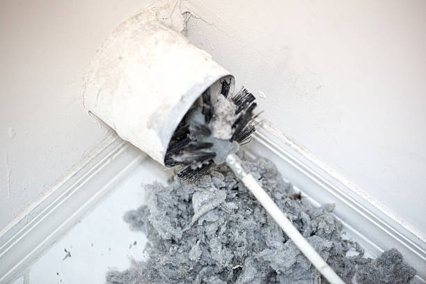 Best HVAC Duct Inspection Services  in Lake Magdalene, FL